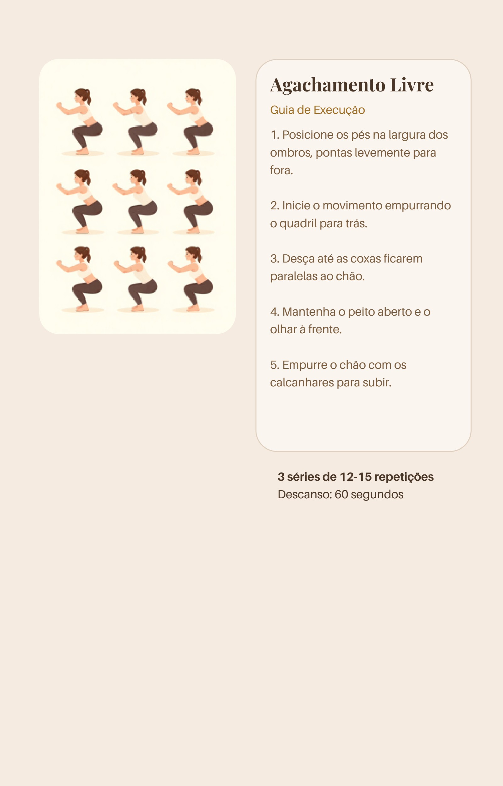 Guia de execução ilustrado