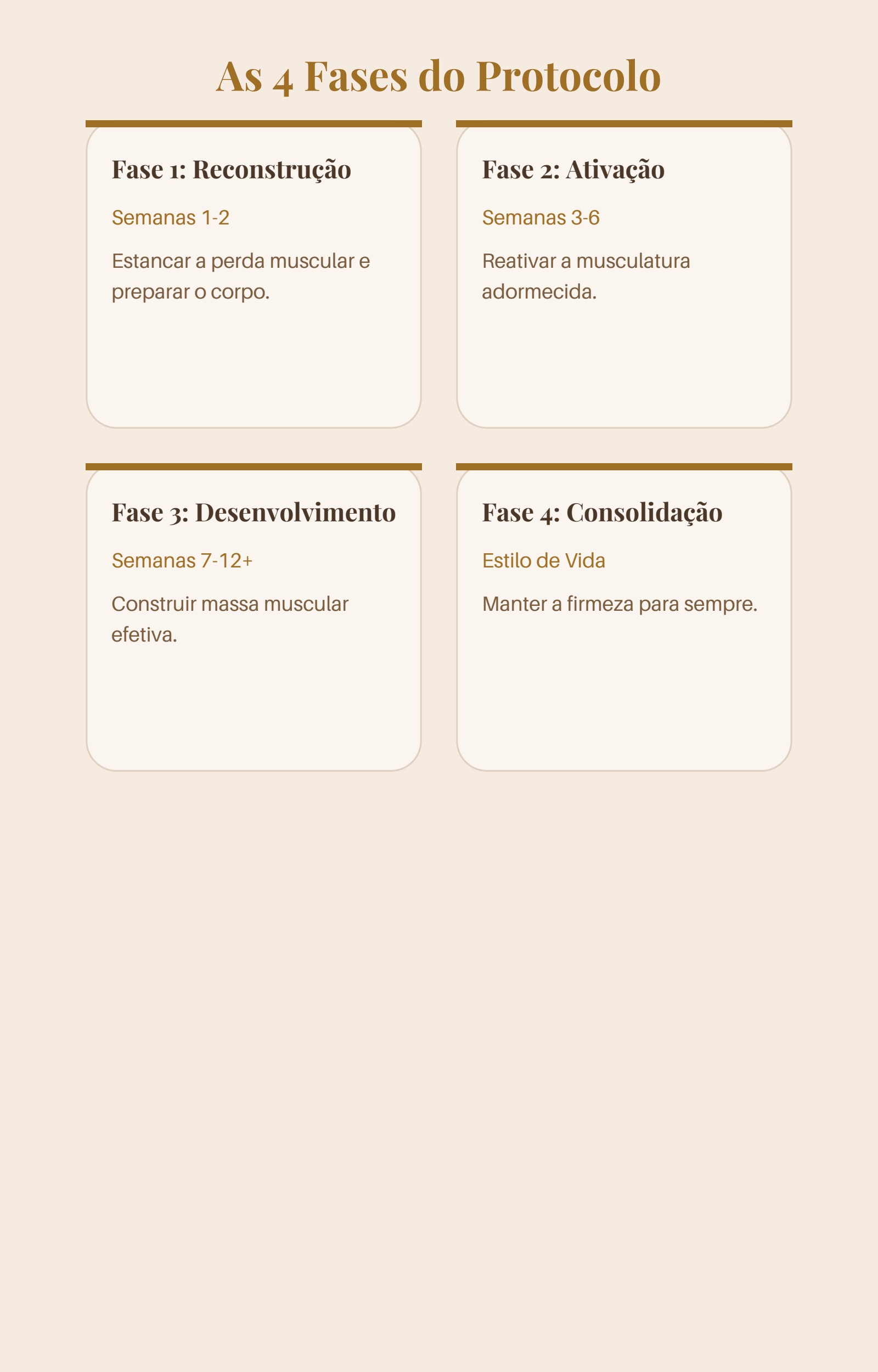 As 4 fases do protocolo